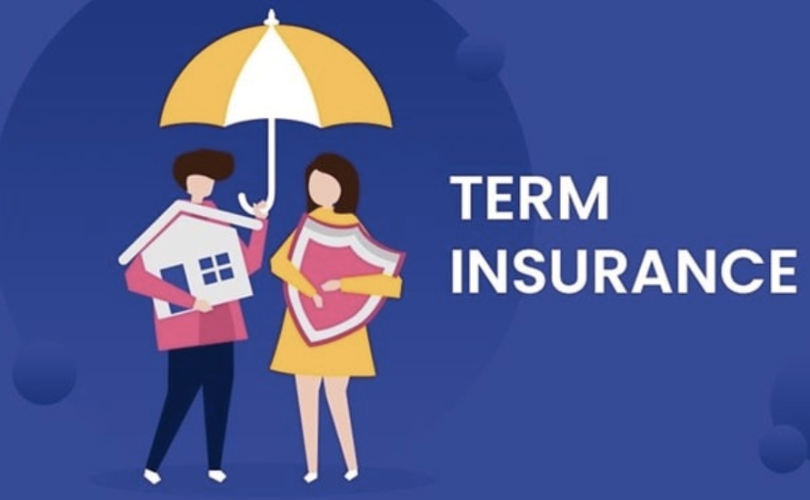 What is the Early Payout Option in Term Insurance?